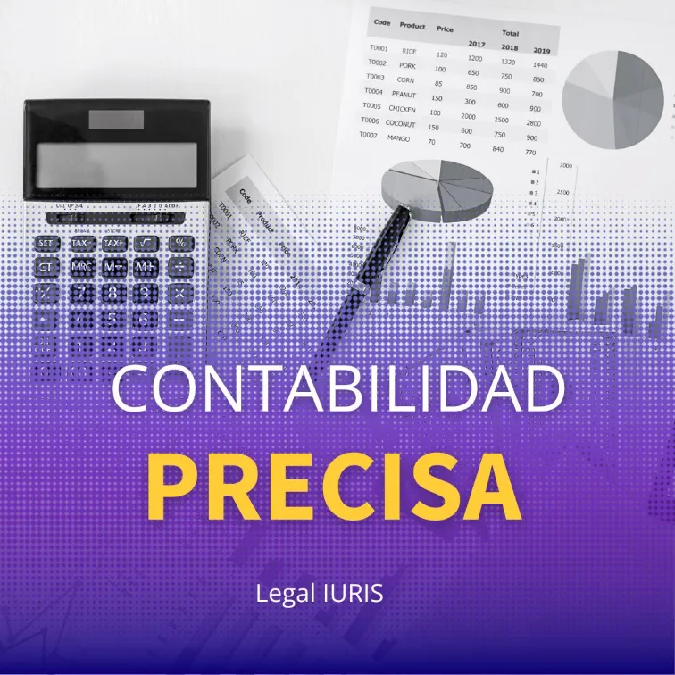 Contabilidad precisa